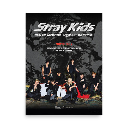 Stray Kids Poster World Tour Run It Live Viewing